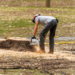 Tree Stump Removal